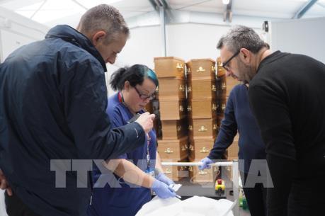 Hoàn thành tiếp nhận bàn giao và hồi hương thi thể 39 nạn nhân tử vong tại Anh