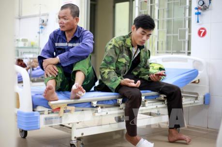 Quảng Ngãi: 11 người thương vong do điện giật