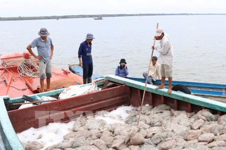 Việt Nam tại WTO: Thúc đẩy đàm phán về trợ cấp thủy sản