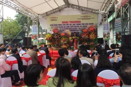 Bắc Giang đưa nông sản chất lượng cao đến với người dân Thủ đô
