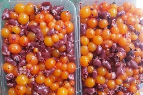 Thu giữ trên 1 tạ trứng gà non bốc mùi hôi thối đang trên đường tiêu thụ