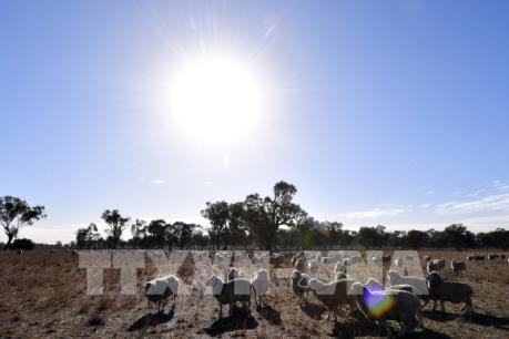 LHQ cảnh báo đây là thập kỷ nóng nhất trong lịch sử