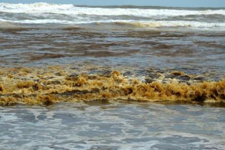 Nước biển Quảng Ngãi đổi màu chưa rõ nguyên nhân