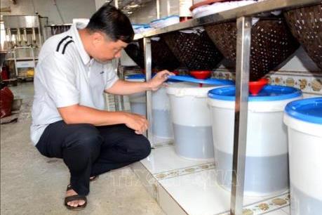 Giải pháp nào bảo tồn, phát triển bền vững các làng nghề?