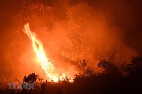 Thông tin chính xác thiệt hại vụ cháy rừng ở Uông Bí, Quảng Ninh