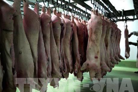 Trung Quốc công bố khôi phục sản lượng thịt lợn trong 3 năm tới