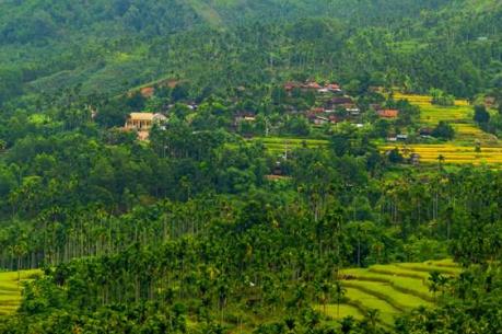 Người thanh niên Cadong làm giàu trên đất ngàn cau