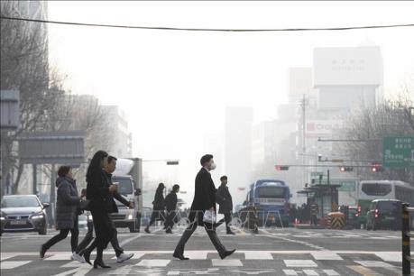 Phát triển nguồn nhân lực: Yếu tố sống còn để xây dựng thành phố thông minh