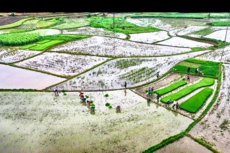 Cấp nước cho vụ Đông Xuân 2020 gặp nhiều khó khăn