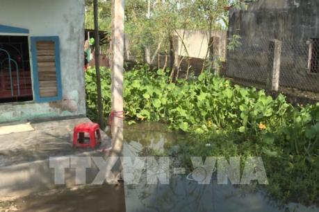 Phản hồi thông tin của TTXVN về Cụm dân cư vượt lũ ở Kiên Giang