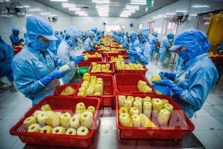 Xuất khẩu rau quả giảm nhẹ