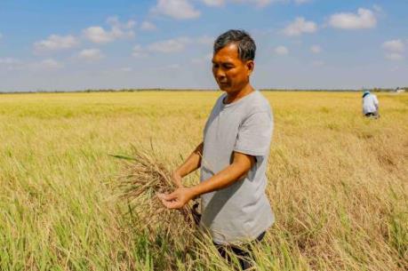 Xâm nhập mặn mùa khô năm 2021 không nghiêm trọng như năm 2020