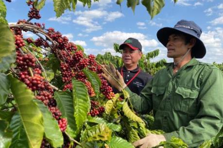 Kon Tum thêm 53 sản phẩm đạt tiêu chuẩn OCOP 3 sao trở lên