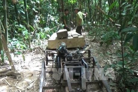 Đóng cửa rừng tự nhiên: Bài 2 - Vẫn xảy ra phá rừng, khai thác rừng trái pháp luật