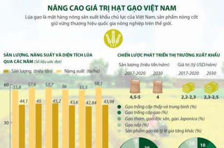 Nâng cao giá trị hạt gạo Việt Nam