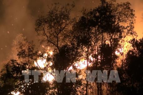 Nhiều khu vực cảnh báo cháy rừng cấp nguy hiểm, cực kỳ nguy hiểm