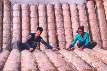 Bánh đa nem Thiệu Châu rộn ràng vào Tết