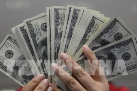 Hai đồng tiền luôn mạnh lên theo thời gian so với đồng USD trong thập kỷ qua