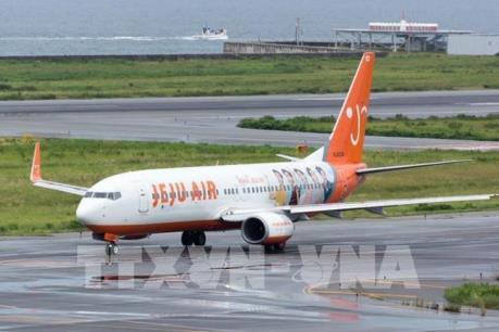 Hàng không giá rẻ Jeju Air chi 60 triệu USD mua lại Eastar Jet