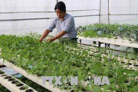 Hậu Giang ưu đãi thu hút đầu tư vào nông nghiệp công nghệ cao
