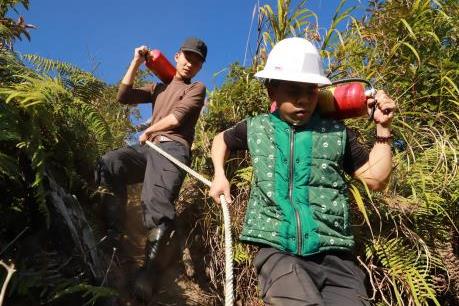 Diễn tập phòng chống cháy rừng cấp độ 2 tại Vườn quốc gia Hoàng Liên