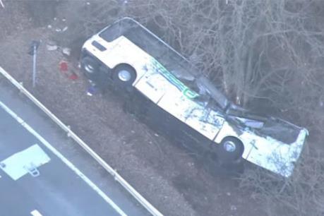 Nhật Bản: Gia đình nạn nhân vụ tai nạn giao thông được đền bù số tiền kỷ lục