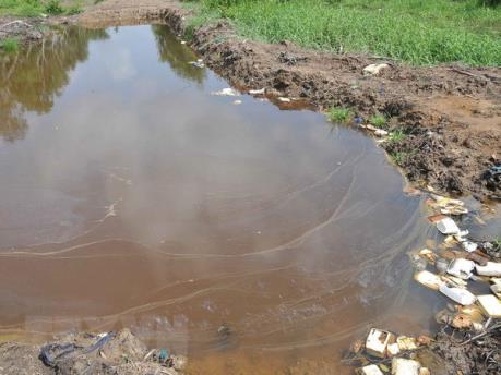 Khẩn thiết bảo vệ nguồn nước ngọt tại Hải Phòng