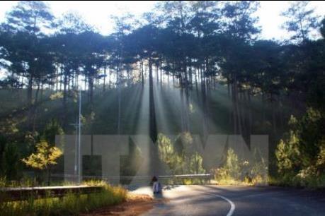 Thời tiết đẹp trong dịp Giáng sinh và Tết dương lịch 2020