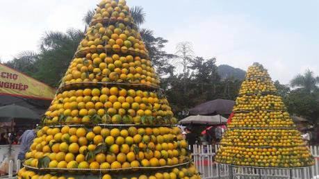 Khai mạc lễ hội cam Hà Tĩnh lần thứ 3​