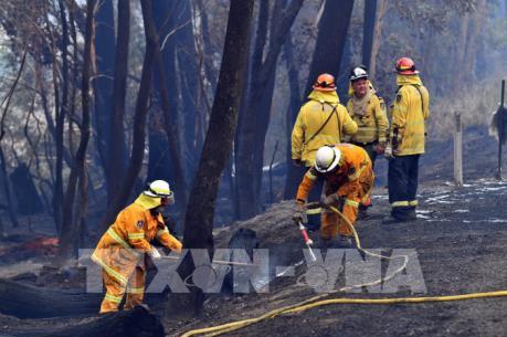 Australia chạy đua với thời gian diệt "giặc lửa"