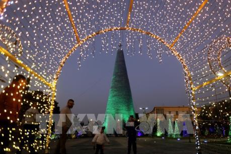 Ấn tượng cây thông Noel từ chai nhựa bỏ đi