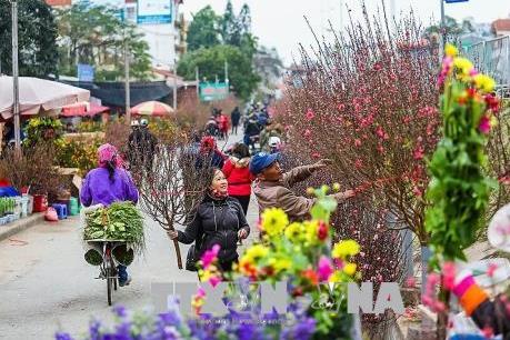 Hà Nội sẽ có 51 điểm chợ hoa xuân phục vụ Tết