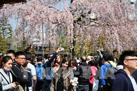 Ngành du lịch Hàn Quốc và Nhật Bản tổn thất do bất đồng thương mại