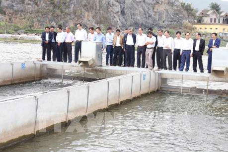 Nuôi cá “sông trong ao” cho năng suất gấp 4-5 lần nuôi truyền thống