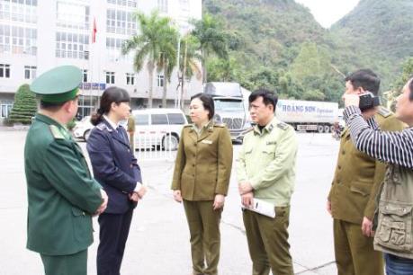 Kiểm soát chặt tình trạng xuất lậu thịt lợn qua biên giới