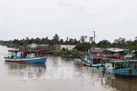 Khắc phục "thẻ vàng" IUU: Kiên quyết phạt chủ tàu cá không lắp đặt giám sát hành trình