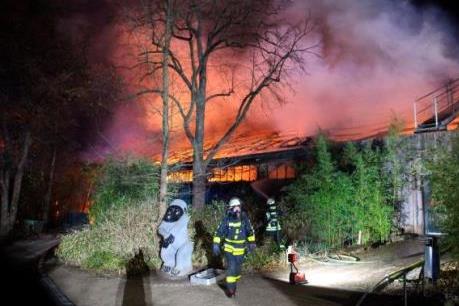 Hỏa hoạn nghiêm trọng tại vườn thú ở Đức