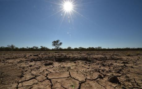 Thái Lan chuẩn bị đối phó tình trạng hạn hán nghiêm trọng