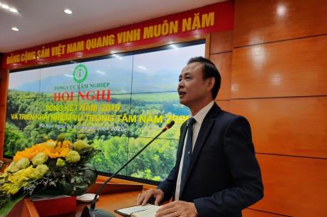 Năm 2020, hướng tới mục tiêu xuất khẩu lâm sản tăng trên 10%
