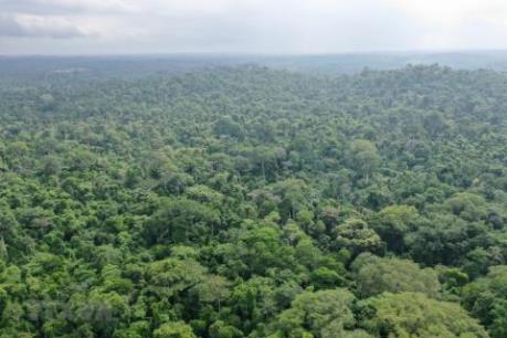 Bùng nổ mô hình khởi nghiệp tại châu Phi: Cơ hội song hành cùng thách thức