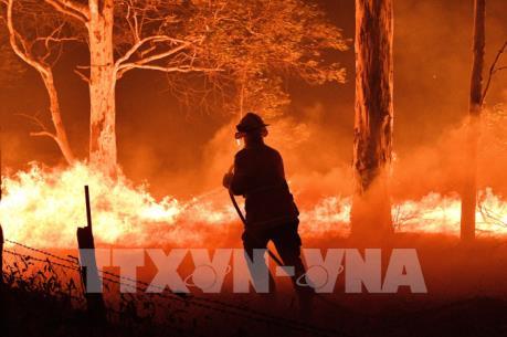 Cháy rừng tại Australia: Thêm 240.000 người dân được yêu cầu sơ tán