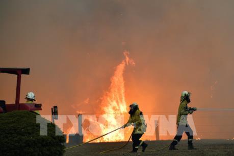 ​Australia điều lực lượng dự bị lớn nhất trong lịch sử ứng phó với cháy rừng