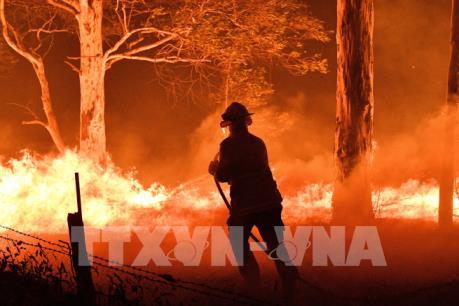 Cháy rừng ở Australia: Nỗ lực sơ tán hàng nghìn người bị mắc kẹt 