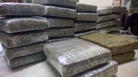 Khởi tố ổ nhóm chuyên sản xuất "bánh" chứa chất cần sa