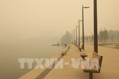 Cháy rừng ở Australia - những thiệt hại chưa thể thống kê