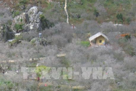 "Xê dịch" trải nghiệm dịp Lễ Giỗ Tổ Hùng Vương 10/3?