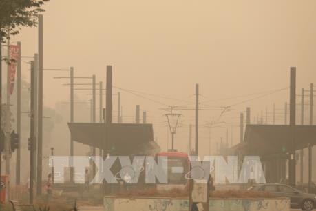 Cháy rừng tại Australia: Khói mù độc hại vẫn bao phủ các thành phố lớn