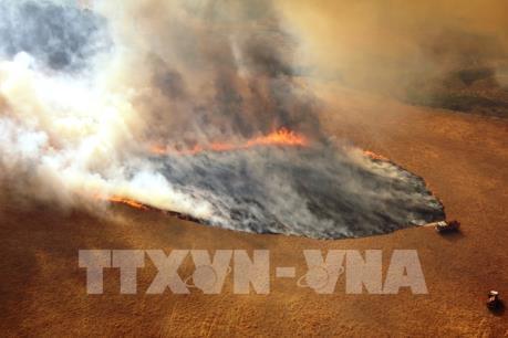 Cháy rừng tại Australia: Khói do cháy rừng phát tán khắp nơi trên thế giới