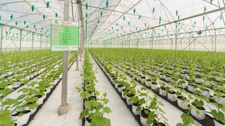 PAN thay đổi ngày chốt danh sách cổ đông thưởng cổ phiếu tỷ lệ 25%