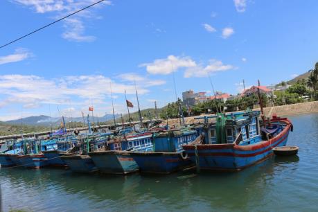 Kỷ luật Giám đốc Ban quản lý Cảng cá và Khu neo đậu tránh bão cho tàu cá Bạc Liêu